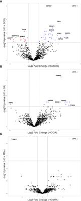 Proteomic biomarkers in seminal plasma as predictors of reproductive potential in azoospermic men